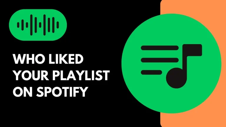 how to see who liked your playlist on spotify 2024
